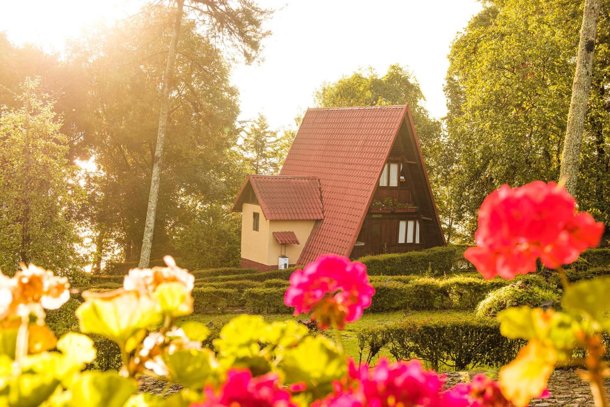 Zirahuen Forest And Resort Eksteriør billede