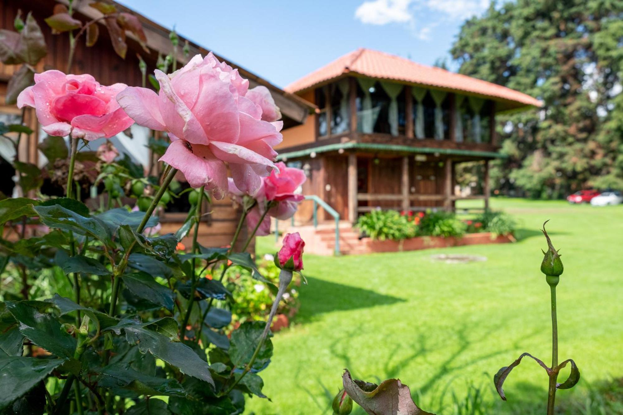 Zirahuen Forest And Resort Eksteriør billede